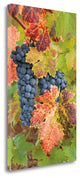 "Summit Lake Zinfandel" By Christopher Foster, Giclee on Gallery Wrap Canvas