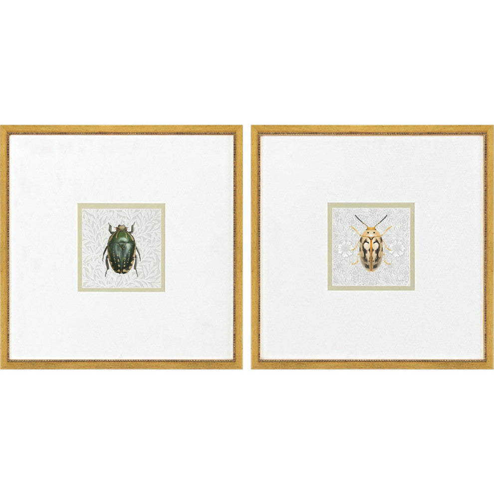 Beetles Framed Art, 2-Piece Set