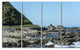 "Beautiful New Zealand Rocky Beach" Modern Seascape Wall Art, 4 Panels, 48"x28"