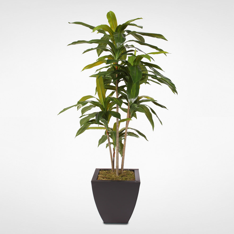 4ft Real Touch Dracaena Massangeana Tree in a Contemporary Metal Pot