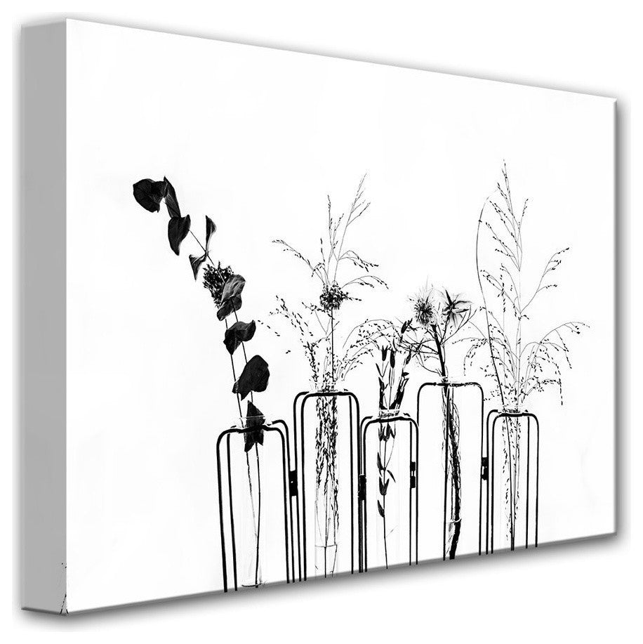 Black Flowers on White Background' Canvas Wall Decor