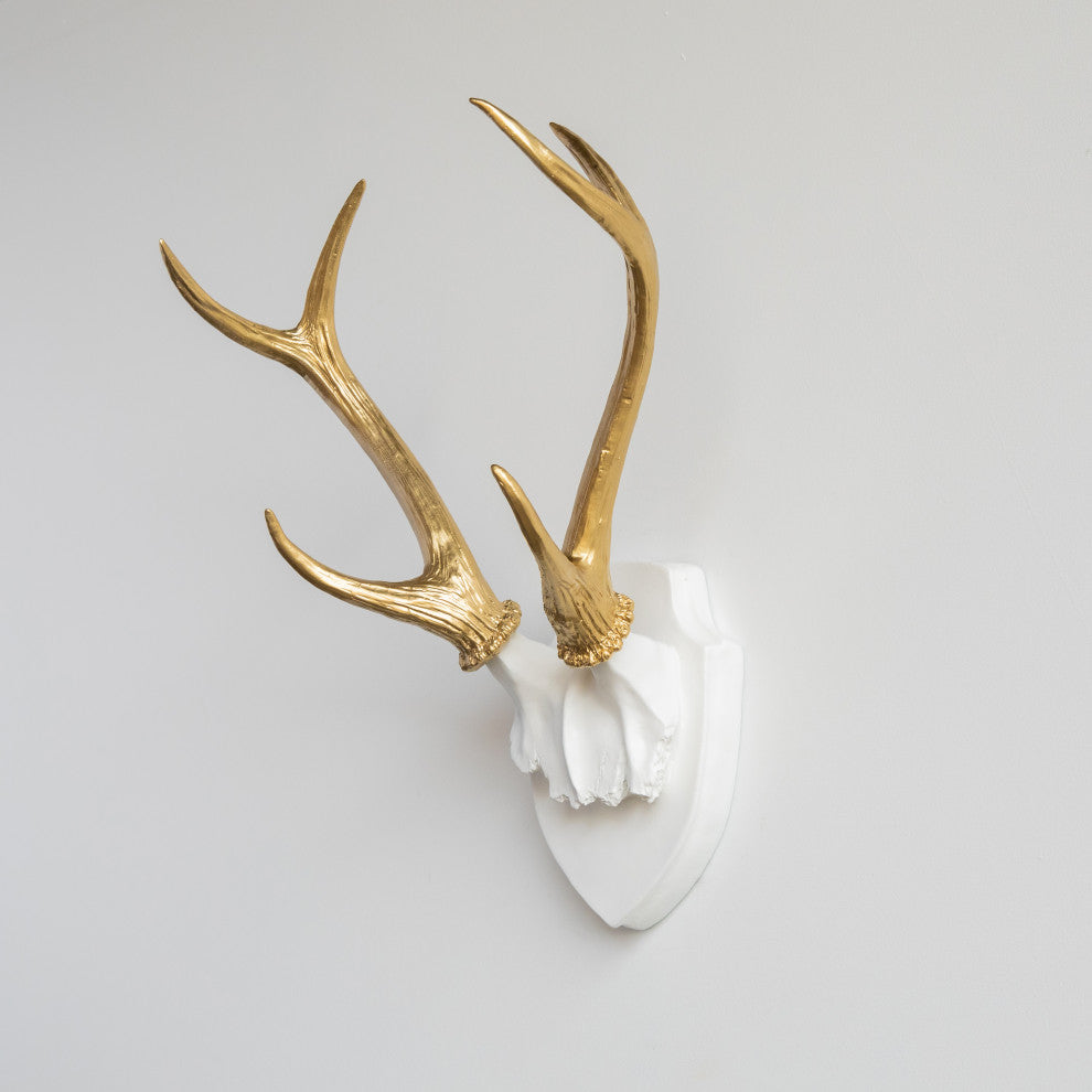 Deer Antler Mount, White Antlers And Plaque, White, Gold