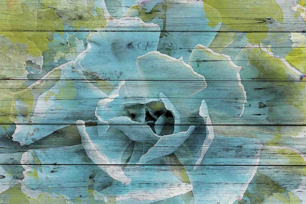 "Frosted Green Succulent" Painting Print on Canvas by Irena Orlov