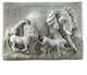Elephant Safari Plaque