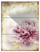 "Pink Peony in Vintage-Style" Digital Metal Wall Art, 3 Panels, 28"x36"