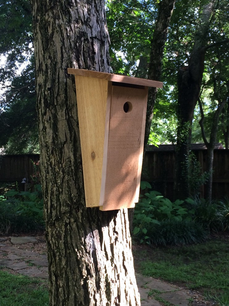 Angled Design Bird House