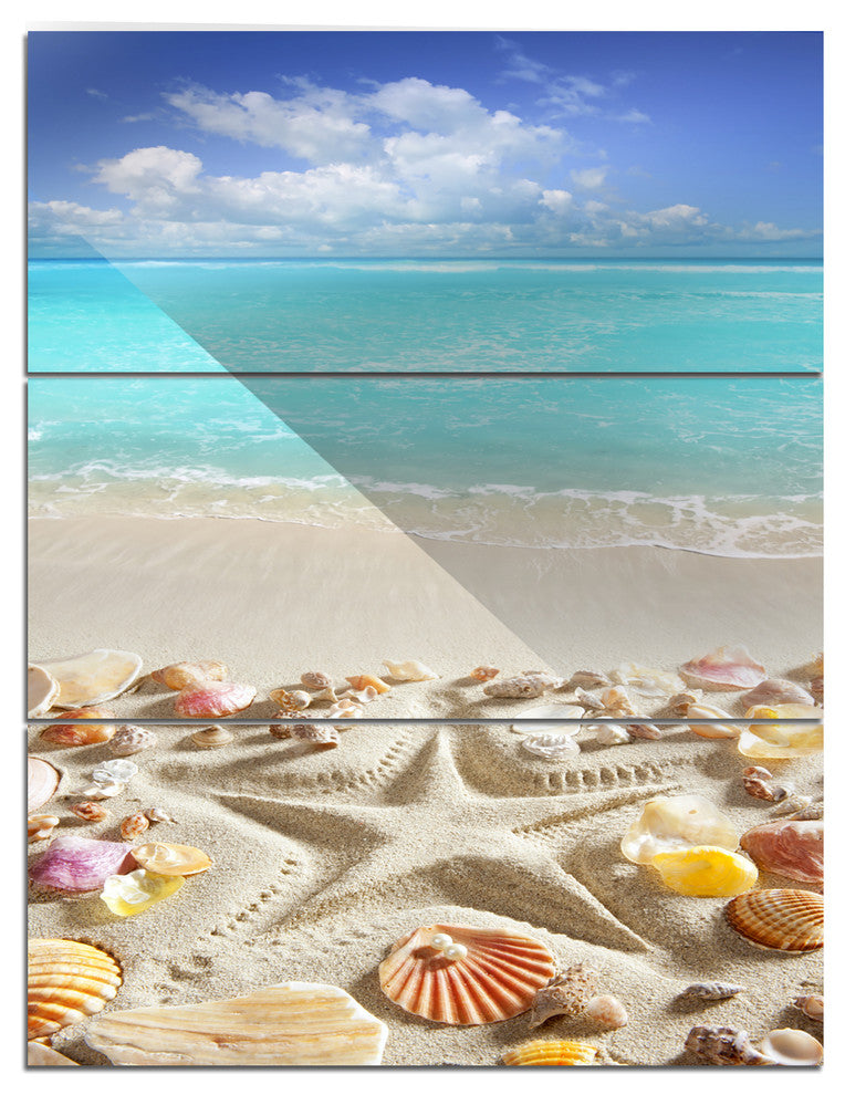 "Caribbean Sea Starfish" Beach and Shore Metal Wall Art, 3 Panels, 28"x36"