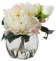 Cream peonies in glass cube