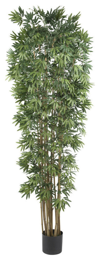 7' Bamboo Japanica Silk Tree