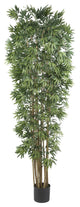 7' Bamboo Japanica Silk Tree
