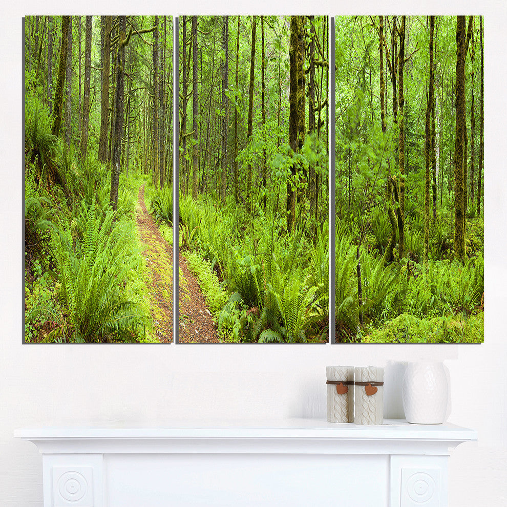 "Lush Forest Path Columbia River" Forest Metal Wall Art, 3 Panels, 36"x28"