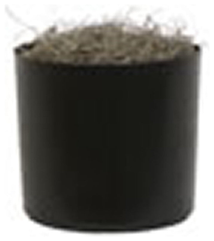 Vickerman TBU1140-06 4' Artificial Marginata Bush, Black Plastic Pot