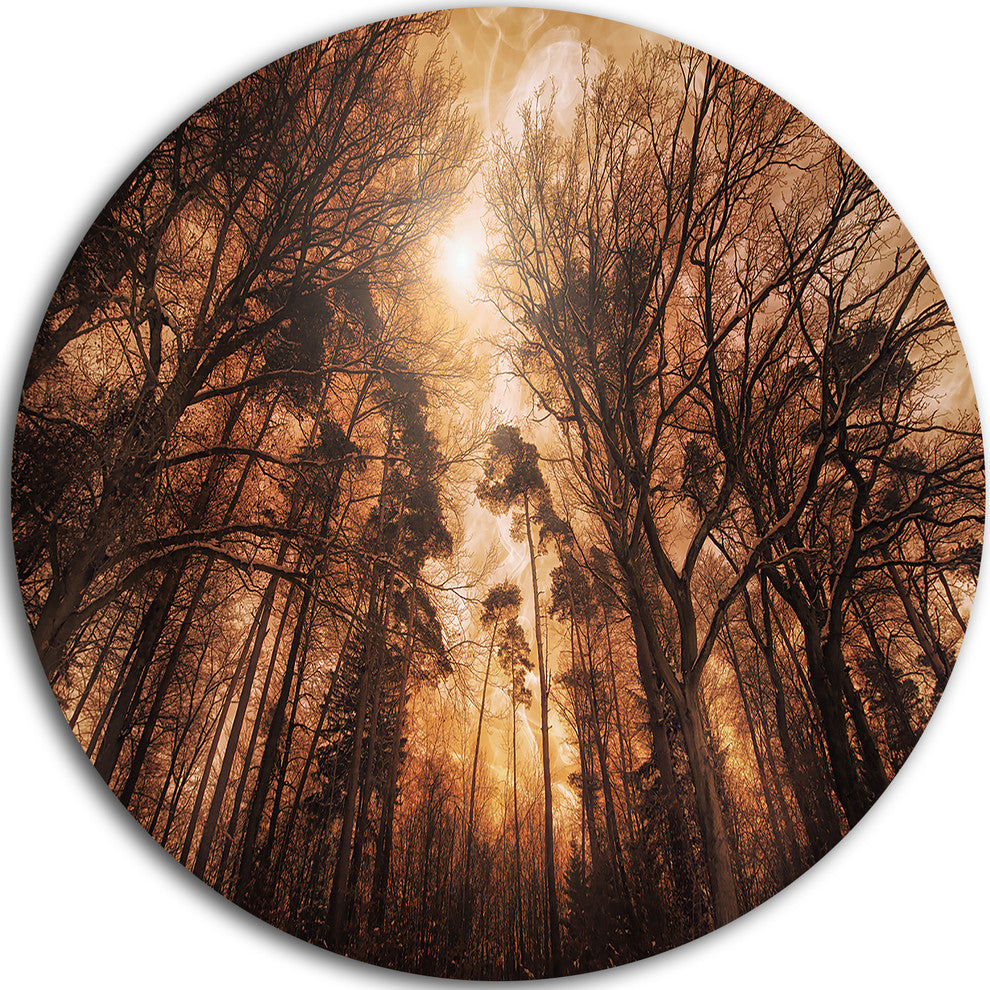 Picturesque Autumn Forest, Landscape Photo Disc Metal Wall Art, 36"