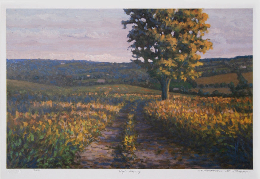 "Maple Morning" Artwork