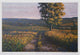 "Maple Morning" Artwork