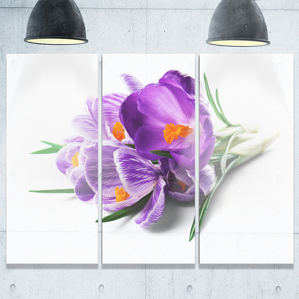 "Bunch of Blooming Crocus Flowers" Metal Wall Art, 3 Panels, 36"x28"