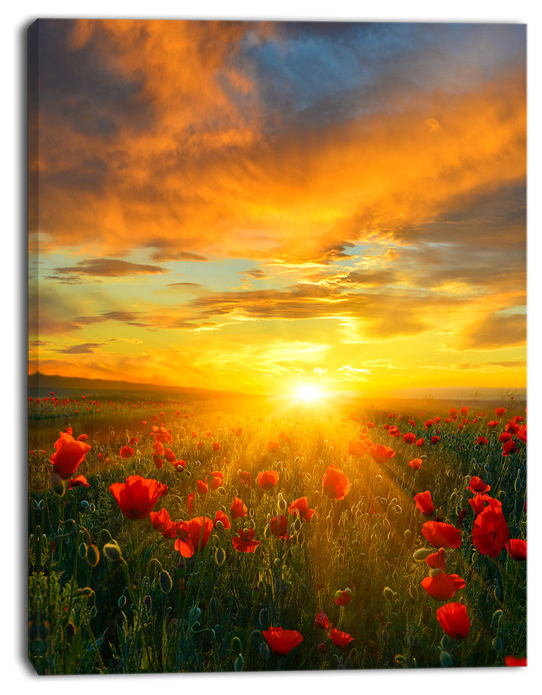 Bright New Day over Poppy Fields, Floral Canvas Art print, 12"x20"