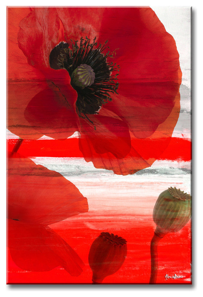Ready2hangart 'Painted Petals XXXII' Canvas Wall Art