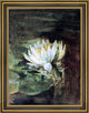 John La Farge Single WaterLily in Sunlight Framed Premium Canvas Print, 18"x24"