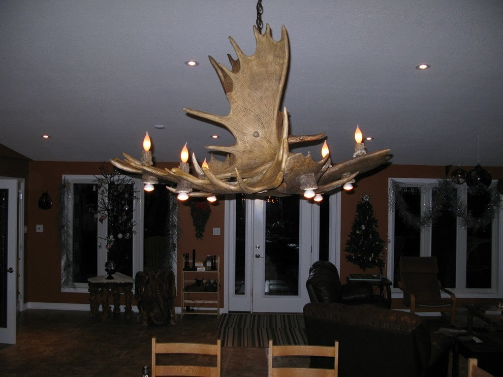 Real Antler Moose Pool Table Deer Chandelier Light