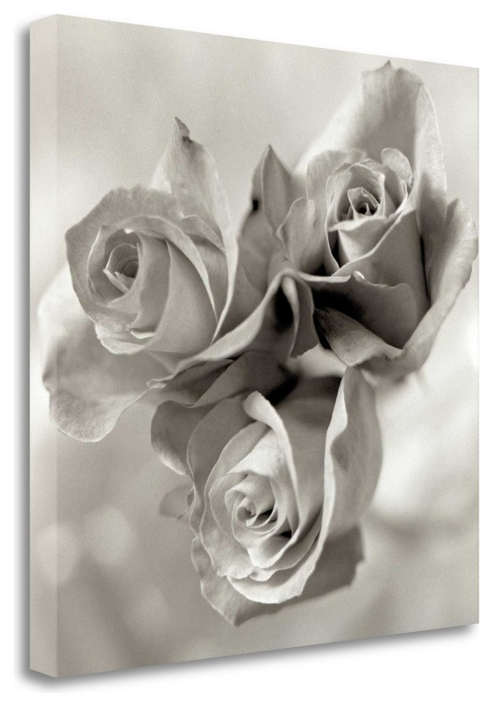 "Florison - 36" By Alan Blaustein, Giclee Print on Gallery Wrap Canvas