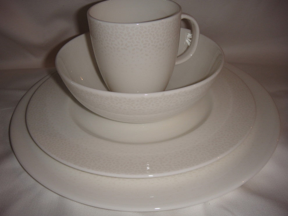 Lenox Effervescent, Simply Fine Collection 4 Piece Dinnerware Set