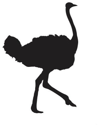 Ostrich Wall Decal