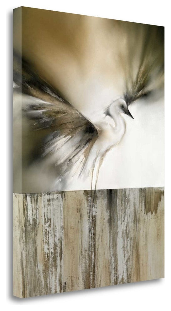 "Pink Chiffon II" By J.P. Prior, Giclee Print on Gallery Wrap Canvas