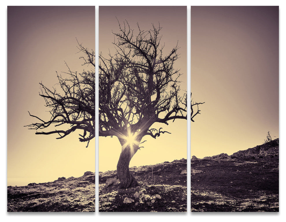 "Lonely Gray Tree in Mountain" Metal Landscape, 3 Panels, 36"x28"