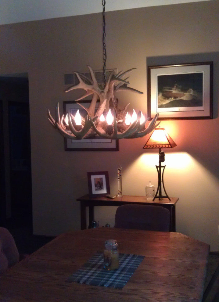 Whitetail Deer Single Tier Antler Chandelier Light, Large, Rawhide Shades