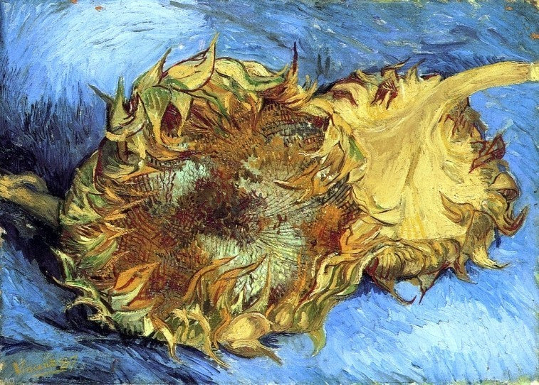 Vincent Van Gogh Still Life with Two Sunflowers Premium Canvas Print