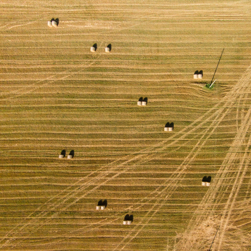 "Tractor Trails" Print on Canvas by Karolis Janulis