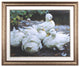 Group of Ducks Framed Art