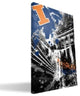 IL Illini Spirit Canvas Print, 16"x24"