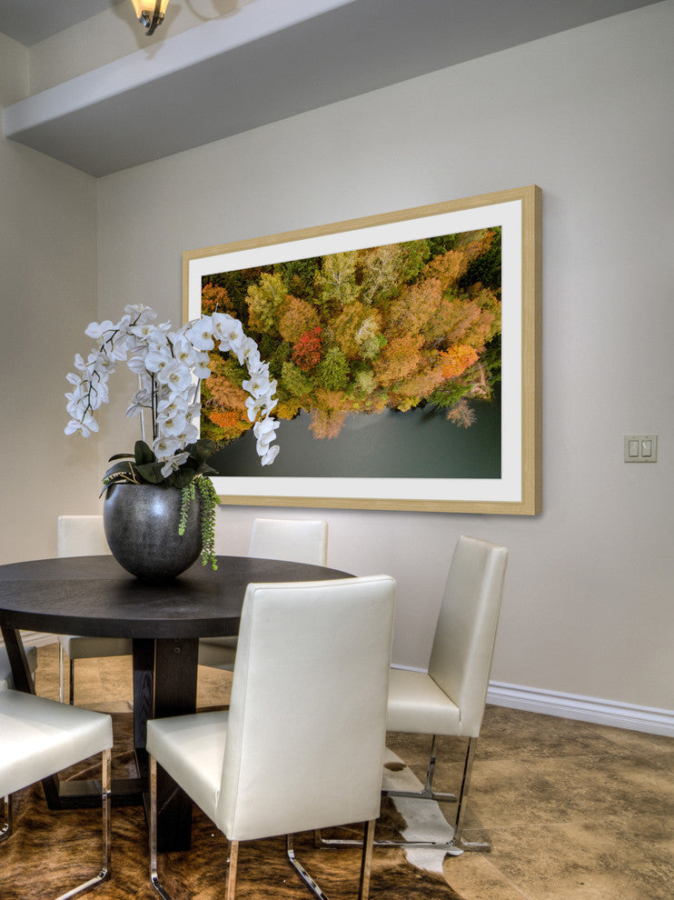 "Nature's Flora" Framed Print by Karolis Janulis