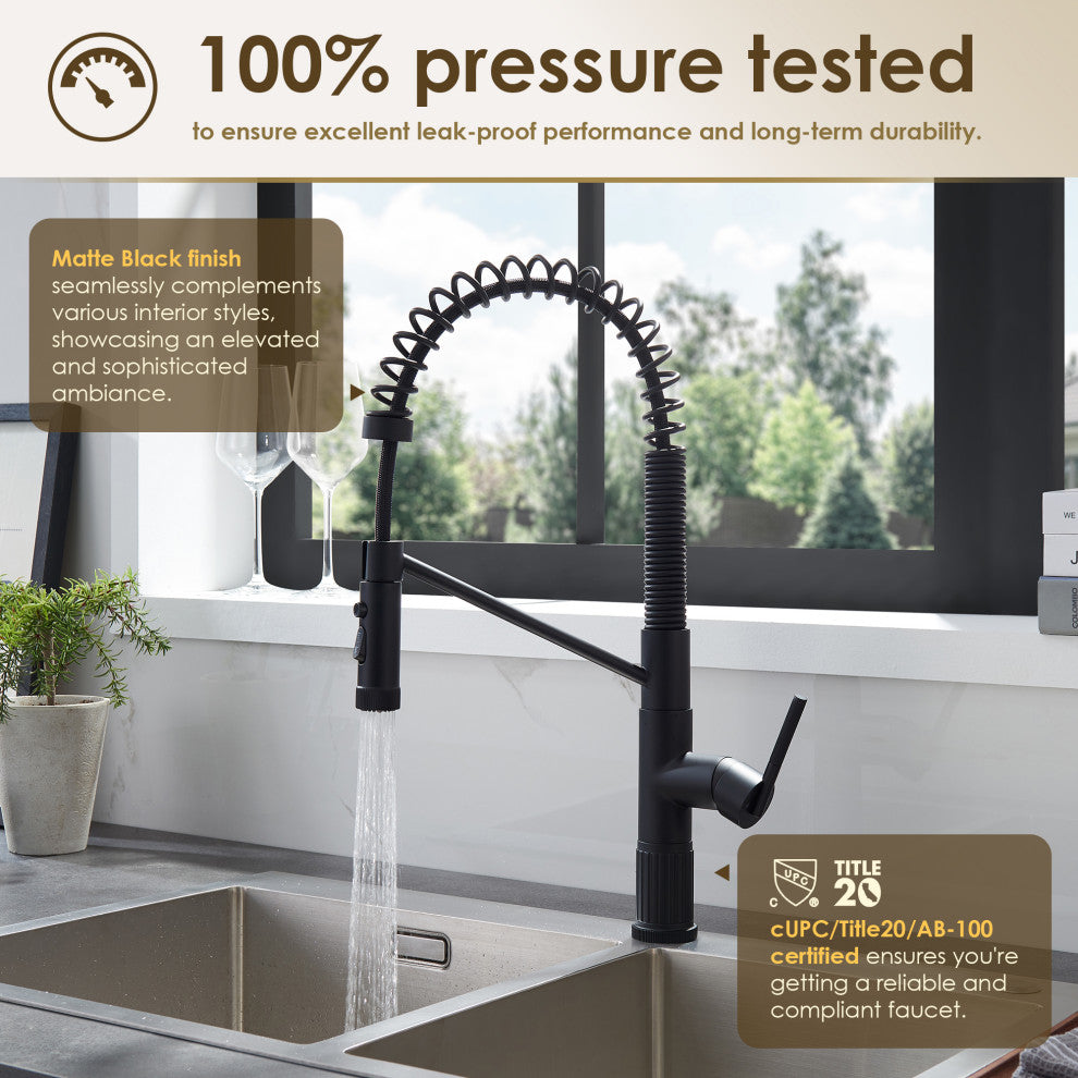 Nette Single-Handle Kitchen Faucet With Pull Down Sprayer, Matte Black