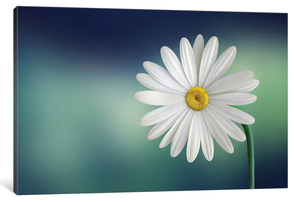"Flower" by Bess Hamiti, 18x12x1.5