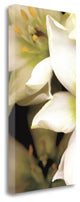 "Star Of Bethlehem Triptych" By Andrew Levine, Giclee on Gallery Wrap Canvas