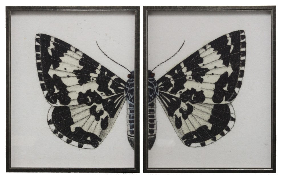 Split Black And White Butterfly, Pewter Shadowbox, Left, Left