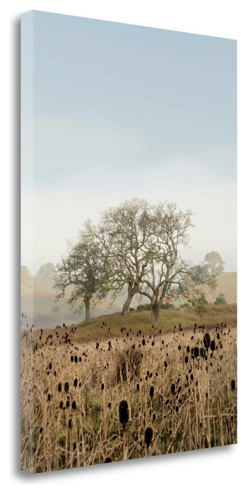 "Oak Tree - 67" By Alan Blaustein, Giclee Print on Gallery Wrap Canvas