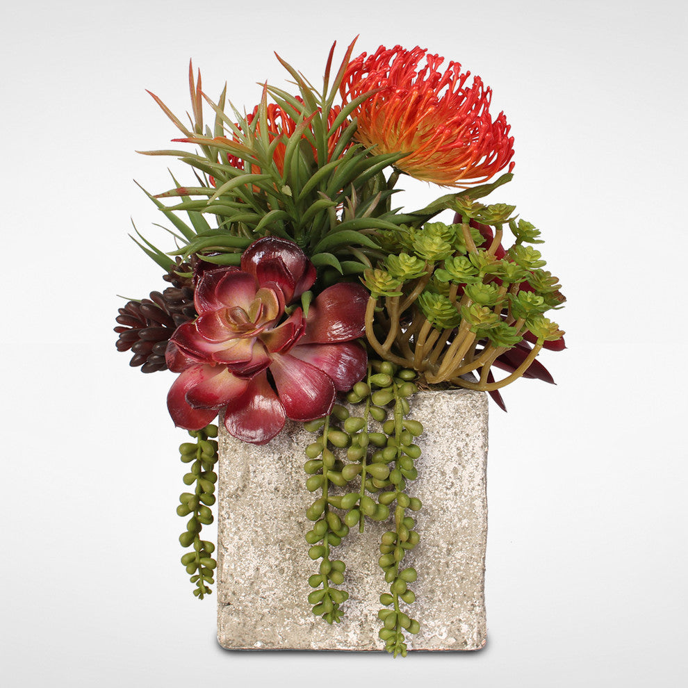 Jade Plant and Rosette Succulents Arrangement in Cement Pot