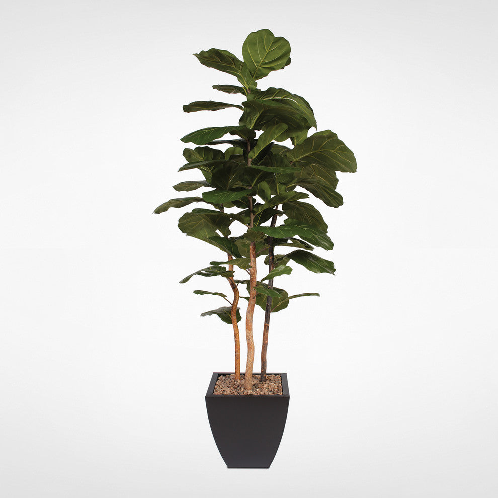 7' Brazilian Fiddle Leaf Tree With Real Wood Trunks in Metal Planter, Black