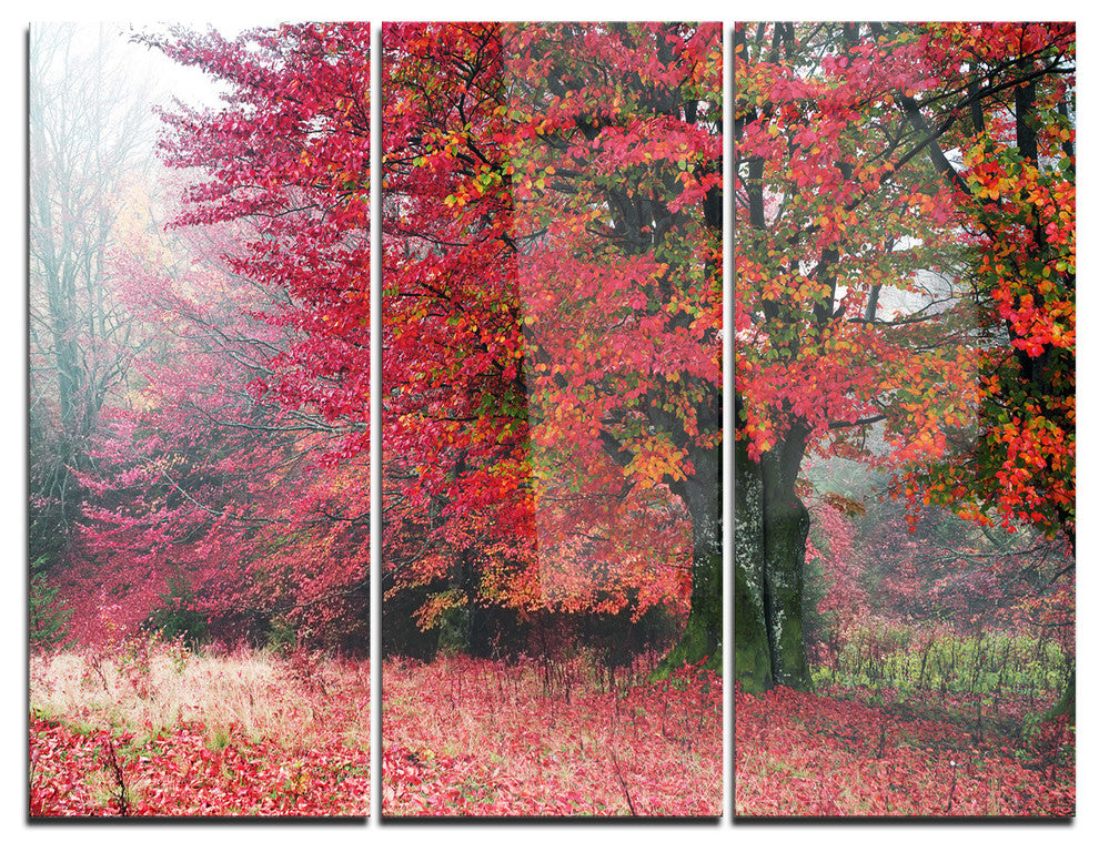 "Calm Autumn Forest After Storm" Photo Metal Wall Art, 3 Panels, 36"x28"