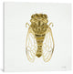 "Cicada Gold Artprint" by Cat Coquillette, 12x12x1.5