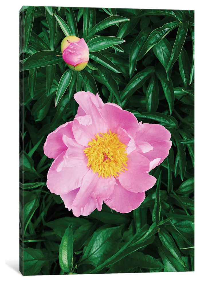 "The Peony" by Chelsea Victoria, 26x18x1.5