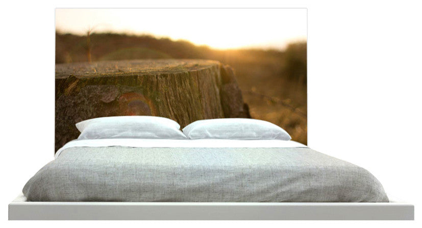 "Sunset Over Stump" Headboard
