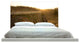 "Sunset Over Stump" Headboard