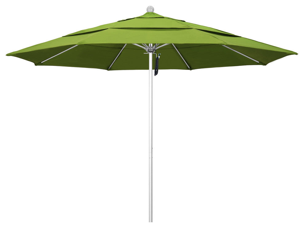 California Umbrella Venture Series, Macaw
