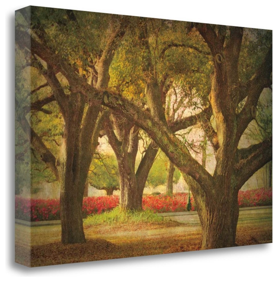"Three Oaks And Azaleas" By William Guion, Giclee Print on Gallery Wrap Canvas