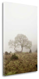 "Oak Tree - 26" By Alan Blaustein, Giclee Print on Gallery Wrap Canvas